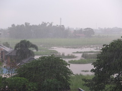 Monsun